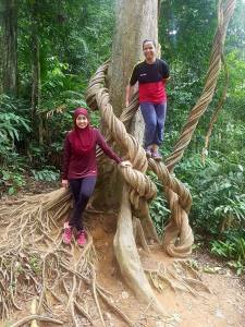 nuang